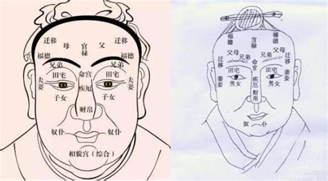 面相準嗎|面相准不准是不是迷信呢？面相学有科学依据吗？